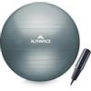 ALPHAPACE Palla da ginnastica spessa antiburst con pompa ad aria, palla per fitness, yoga, ginnastica, core training, per schienale forte come sedia da ufficio, lavanda francese, 65 cm