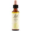 SCHWABE PHARMA ITALIA Olive Bach Orig 20 Ml