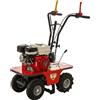 Benassi L300 - Tagliazolle a benzina trazionato - Honda GX160 - 5.5HP