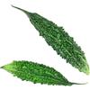 Kajal Cetriolo scarlatto, 1 kg, Ivy Gourd (Tindora) - zucca di edera indiana, ideale per piatti, curry e cucina tradizionale con adesivo Kajal (2 kg, cetriolo amaro)