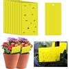 TopHomer 20 trappole adesive per mosche, 20 x 10 cm, adesivi di carta per mosche gialli, adesivi di protezione per piante, acchiappamosche appiccicose a doppio lato per insetti contro moscerini funghi, mosche