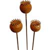 Bornhöft Set di 3 picchetti da giardino a forma di cappello da sole, in metallo arrugginito, decorazione da giardino, traliccio per aiuole, colore ruggine naturale (griglia di papavero, capsula C)