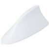 Xibao Antenna Auto Pinna di Squalo,Pinna Di Squalo Copertura AM/FM Segnale Antenna,Decorazione per Modificare L'aspetto Dell'auto,Adatto alla Maggior Parte Delle Autos,Camion e SUV (Bianco)