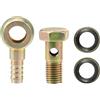 QUARKZMAN 1 Set M8x1 Banjo Bullone Kit con Rame Rondelle Ferro Bronzato