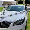 Norhogo Decorazione per auto, matrimonio, matrimonio, decorazione per auto, banchetto, in organza, 2 x 1,6 m di lunghezza, con 9 rose + 2 rose di alta qualità, colore bianco