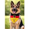 Pictogogo Bandana Personalizzata per Cane con Nome - Foulard per Cani Personalizzabile con Testo e Simbolo - Lavabile - Prodotto e Personalizzato in Europa (Germania con aquila, S)