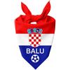Pictogogo Bandana Personalizzata per Cane con Nome - Foulard per Cani Personalizzabile con Testo e Simbolo - Lavabile - Prodotto e Personalizzato in Europa (Croazia, S)
