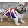 Animal Crackers in piedi Bulldog britannico in Union Jack cappotto ornamento, favoloso regalo per gli amanti del cane
