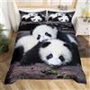 Homemissing Panda Set Carino Panda Ragazzi e Ragazze Kavay Animale Copripiumini Wildlife Belt 2 Federa Multi colore Set Copripiumino 200x200cm