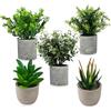 CAIXINYI 5 Pezzi di Piante finte da interno per decorare il soggiorno, Piantine Finte Decorative, Pianta finta da interno adatte a uffici/spazi interni/appartamento/balcone/soggiorno/camera da letto