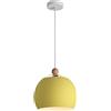DADYA Lampadari in Stile Industriale Apparecchio di Illuminazione A Sospensione per Tavolo da Pranzo Macaron Paralume per Plafoniera in Stile Cinese Lampada A Sospensione A Colori in Stile Nordico