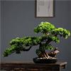 FUYAO Bonsai artificiale, albero di pino bonsai artificiale, 43 cm, decorazione realistica, pianta artificiale in vaso, per esposizione desktop