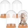 PH PandaHall 4pz Campana di Cloche Campana di Vetro Copertura A Cupola Display Cupola con Base In Sughero Bottiglie di Vetro Cupola Barattoli Decorativi per Conservazione di Fiori Decorazione 6.5x11cm