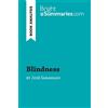 BrightSummaries.com Blindness by José Saramago (Book Analysis): Complete Summary and Book Analysis