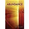 CreateSpace Independent Publishing Platf Supernatural Abundance: A Journey To The Father's House