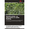 Our Knowledge Publishing Arachis pintoi, an alternative in cattle feeding: Arachis pintoi as a sustainable and sustainable system for cattle feeding in the humid tropics of Mexico.