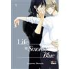 flashbook Life In Smokey Blue #03
