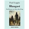 Hofenberg Blaugast: Ein Roman aus dem alten Prag