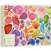 Elena Essex Puzzle - conchiglie di mare, puzzle per adulti 1000, puzzle 1000 pezzi per adulti, puzzle colorato spiaggia oceano conchiglia, dimensioni 70 x 50 cm