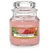 YANKEE CANDLE Candela, Rose Succulente, Piccola