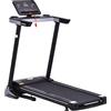 Tapis Roulant Elettrico Pieghevole 500W con Schermo LCD Nero