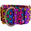 Woofpetshop® Collare Martingale, Collare per cani di taglia piccola, media, grande, collare ideale per levrieri e Podenco (Animale arcobaleno, 5 cm - Taglia L (44-58 cm))