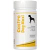 Vet-Service Gastro-Dog Maxi | 240 cps | Gastriti Acute e Croniche | Integratore per cani in capsule | Un valido aiuto in caso di vomito, reflusso, gastriti, ipersalivazione, infiammazioni gastriche