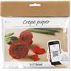 Creativ Company Mini Craft Sets Crepe Paper Flowers Roses - for Crafting Beautiful Crepe Flowers