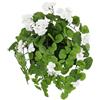 Flair Flower Pianta artificiale Geranio in scatola, 38 cm, pianta da balcone, pianta da balcone, cespuglio, fiore decorativo, geranio, ghirlanda da appendere, pianta artificiale rampicante, fiore di seta