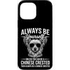 Cool Chinese Crested Fun Chinese Crested Custodia per iPhone 13 Pro Max Essere un cane crestato cinese divertente cinese crestato