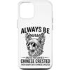 Cool Chinese Crested Fun Chinese Crested Custodia per iPhone 12/12 Pro Essere un cane crestato cinese divertente cinese crestato