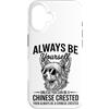 Cool Chinese Crested Fun Chinese Crested Custodia per iPhone 16 Essere un cane crestato cinese divertente cinese crestato