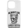 Cool Chinese Crested Fun Chinese Crested Custodia per iPhone 13 Pro Essere un cane crestato cinese divertente cinese crestato