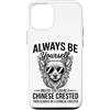 Cool Chinese Crested Funny Chinese Crest Custodia per iPhone 12/12 Pro Essere un cane crestato cinese divertente cinese crestato
