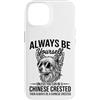Cool Chinese Crested Fun Chinese Crested Custodia per iPhone 14 Essere un cane crestato cinese divertente cinese crestato