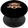 Chihuahua Puppy Lover PS Ritratto del cane del viso del primo piano del cucciolo di chihuahua del bambino PopSockets PopGrip Adesivo