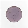 WEISSESTAL Piatto Frutta 22,5CM Cottage Violet