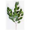 artplants.de Ramo di Ficus Exotica Artificiale Sunil, 55 Foglie Verdi, 75cm - Ficus Decorativo/Ficus pianta