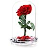 INTIGNIS Vera Rosa Conservata in Cupola di Vetro, Rosa Stabilizzata 25 cm con Fiore 8 cm, Durata Fino a 5 Anni, Base Decorativa, Idea Regalo Elegante per Lei, (Rossa)