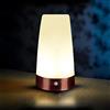 Auraglow Lampada da tavolo con sensore di movimento PIR wireless super luminoso, ricaricabile a LED, rotonda, confezione da 1
