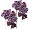 belupai Belupa 2 Fiori Artificiali di Phalaenopsis, Steli di Orchidea Finta al Tocco Reale, 10 Teste di Fiori di Farfalla di Orchidea Finta Danzante per Matrimoni, Feste, Uffici, Hotel, Ristoranti,(Viola)