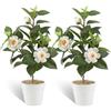 LEIMEND 2 Pezzi Fiori Artificiali Piantine Finte Decorative con Vasetto Fiori Finti Artificiali Composizione Fiori Finti Camelia Artificiale Bianca Ideale per l'arredamento di Case Hotel e Uffici