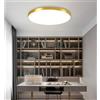 Chao Zan Moderno Lampada da Soffitto LED Luce Rotonda 30W, Plafoniera LED Dimmerazione: 3000k/4000k/6000k per Bagno Cucina Camera da Letto Sala Soggiorno Soppalco Φ27cm (30W, Telaio d'oro)