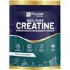 PH PROWISE Healthcare Creatina Monoidrato in Polvere | 100 Dosi - Bustina da 360 g | Creatina Monoidrato 100% Pura e Micronizzata | Facilmente Solubile | Senza Aroma | Vegan (Non Gommose o Compresse)