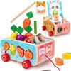 hahaland Giochi Montessori 1 2 3 Anni, Giochi di Legno Bambini 1 Anno