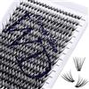 WENDY LASHES Ciglia Finte Individuali DD Curl 300PCS 30D 0.07mm Mix 8-16mm Ciuffetti Extension Ciglia Ciuffetti Ciglia Finte Naturali DIY Individuali Cluster Ciglia Volume Russo(Cluster-30D-0.07-DD-MIX8-16)