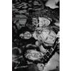 6623 Press Slayer 66 2/3: A Metal Band Biography (Post-Reunion Update: REBORN AND RE-REMASTERED 4th Edition)