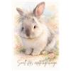 Moomi Design Bunny Cake: Small Steps Create Big Change: Inspirational Notebook with Cake, a Sweet and Tender Bunny