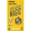 Libros Cúpula Harry Potter Hufflepuff Magic: Los artefactos del mundo mágico