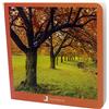 NOWORDBOOKS Otoño: 19